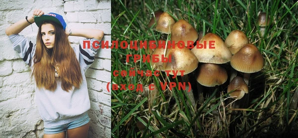 PSILOCYBIN Карпинск