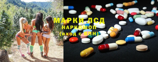 PSILOCYBIN Карпинск