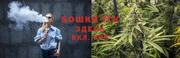 PSILOCYBIN Карпинск