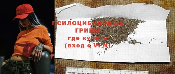 PSILOCYBIN Карпинск